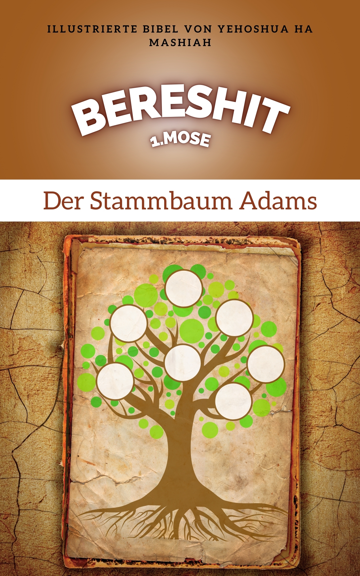 Der Stammbaum Adams